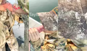 Taylor Breesey Onlyfans Sex Tape – Blowjob Outdoor